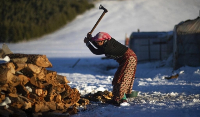 امرأة مغربية تقطع الحطب في قرية تيمحضيت الجبلية النائية