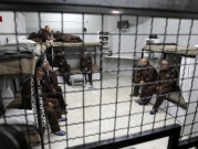 عقوبات على 12 أسيرًا في "عوفر": عزل لساعات وحرمان من "الكانتينا"