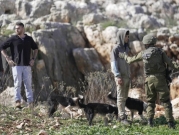 كتيبة "نيتساح يهودا": ميليشيا في خدمة المستوطنين بالضفة الغربية