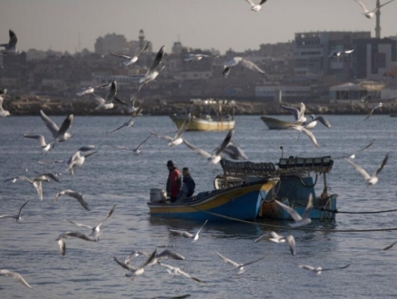 الاحتلال يعتقل 7 صيادين قبالة شواطئ غزة
