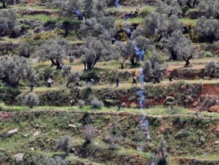 إصابة 3 فلسطينيين برصاص مستوطنين في صوريف