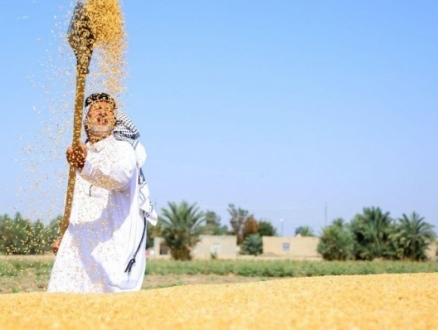 حقول العراق: كأن الجفاف وحده لم يكن كافيا.. فأتت الحرب على أوكرانيا