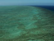 تغيّر المناخ: ظاهرة الابيضاض طالت 91% من الحاجز المرجاني في أستراليا