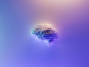 كم يستخدم الإنسان من دماغه؟