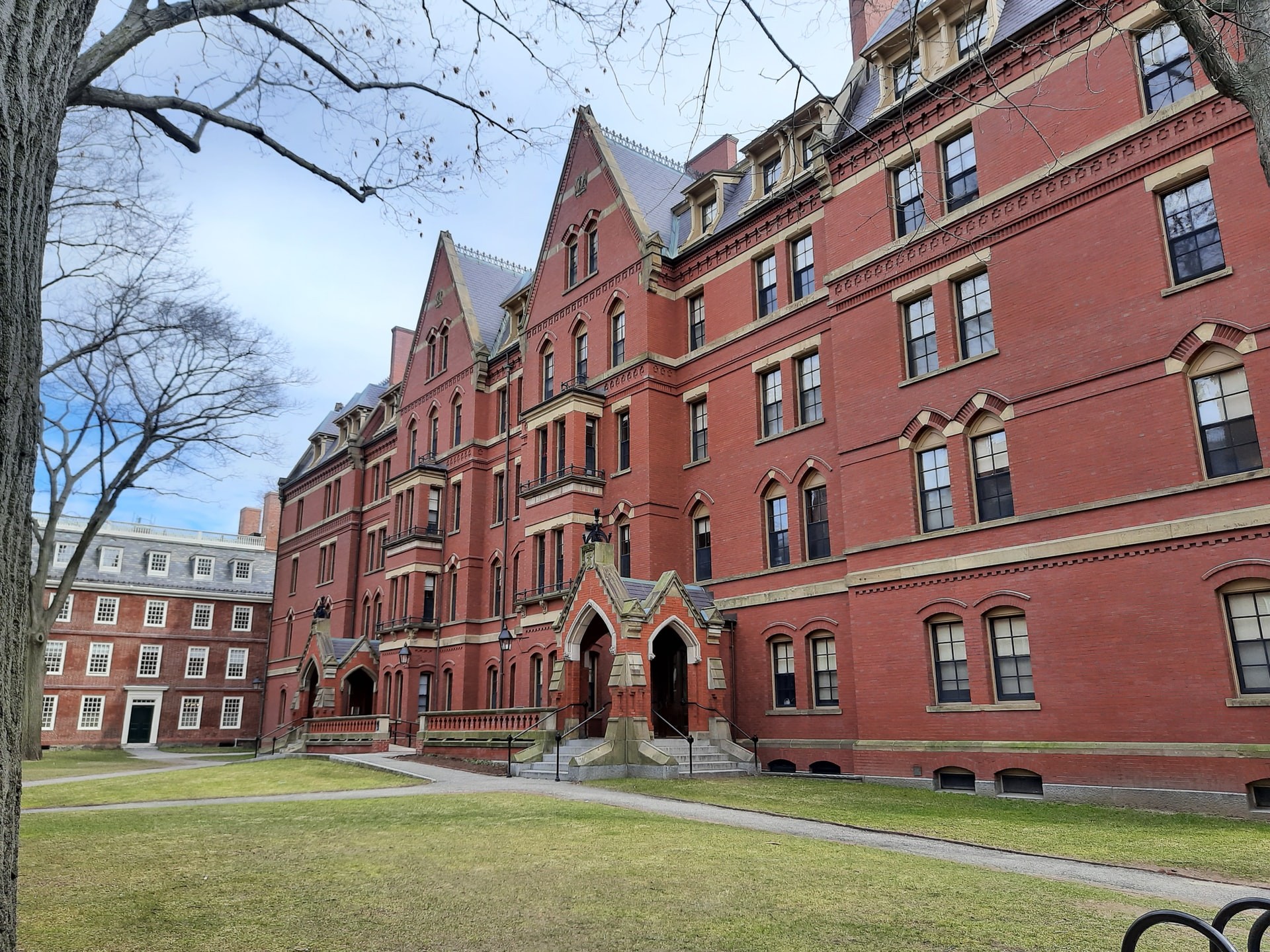 جامعة هارفرد Harvard University