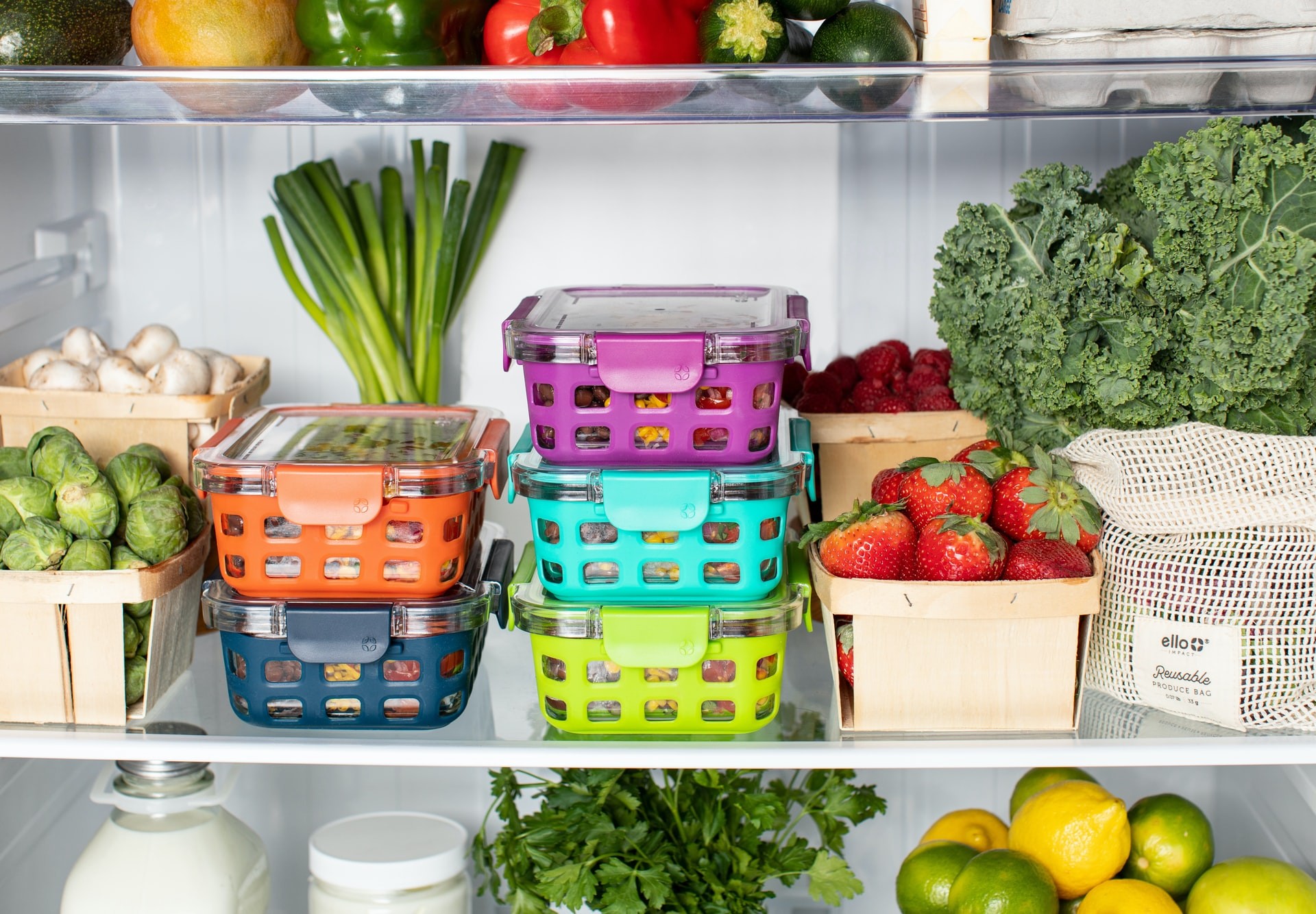 الطريقة المناسبة لحفظ الطعام في الثلاجة أو الفريزر
