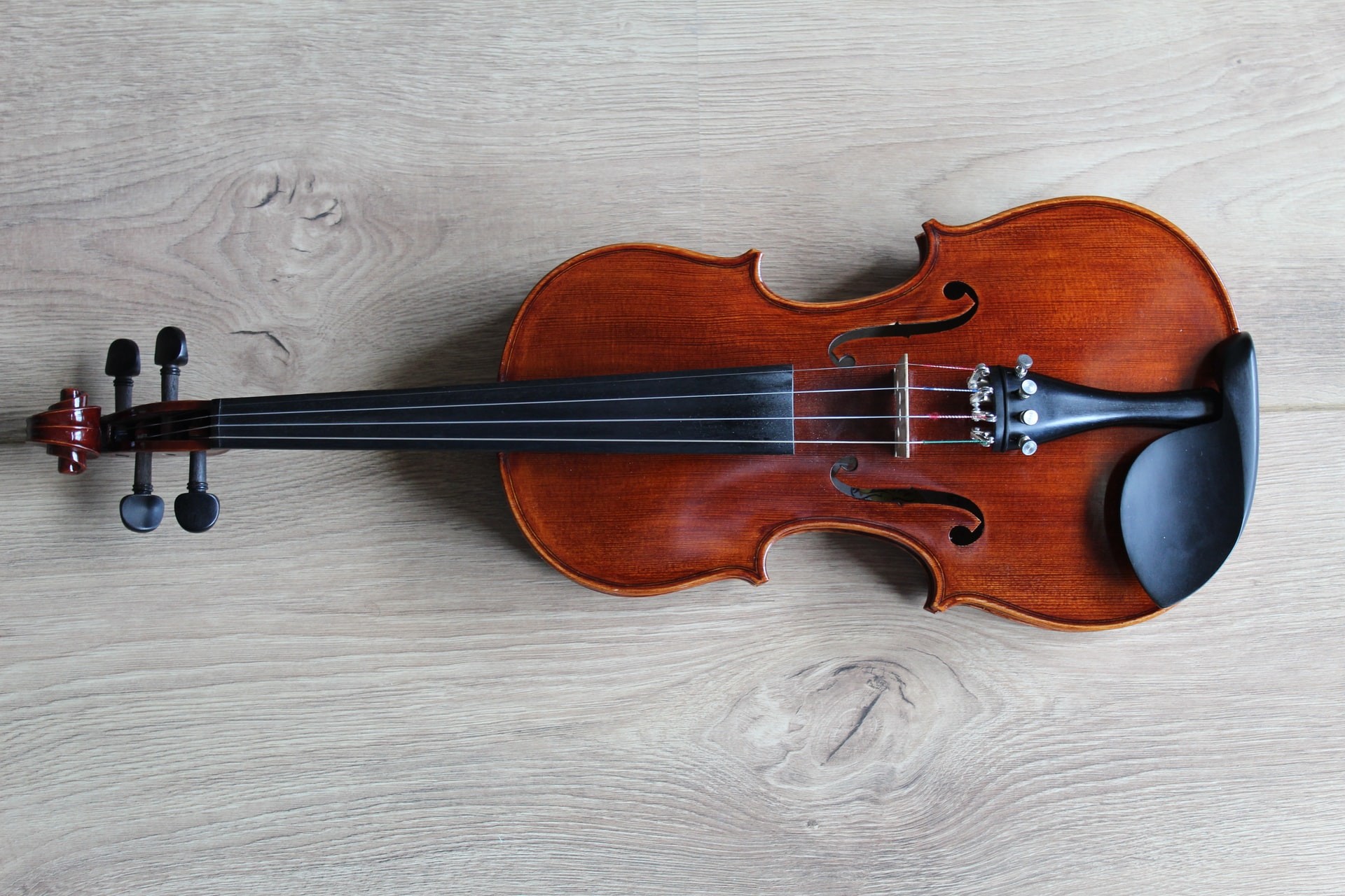 الكمان هو آخر العنقود في عائلة الآلات الموسيقية