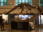 بريطانيا: العثور على متحجرات "أكبر ديناصور مفترس" في أوروبا