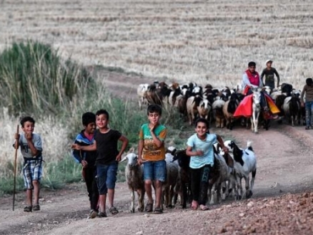 100 مليون نازح قسرا: أزمة الغذاء تنذر بتزايد أعداد النازحين بالعالم