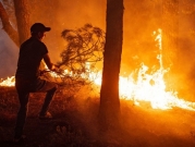 الجزائر: مصرع شخصين وإصابة آخرين في حريق غابة