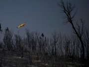 البرتغال: جهود مكثّفة لإخماد حرائق نشطة في الغابات