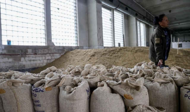 تصدير الحبوب من أوكرانيا معادلة صعبة