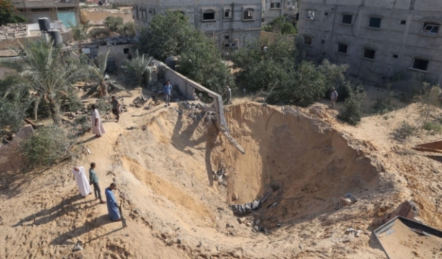 مليون دولار خسائر الزراعة بسبب العدوان الإسرائيليّ على غزة