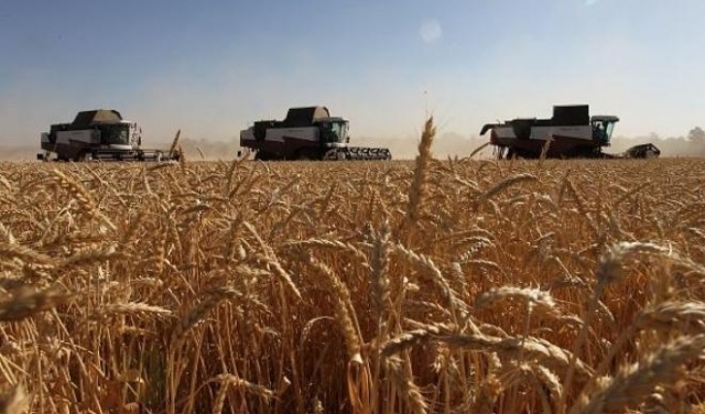 أولى شحنات القمح الأوكراني الأسبوع المقبل 