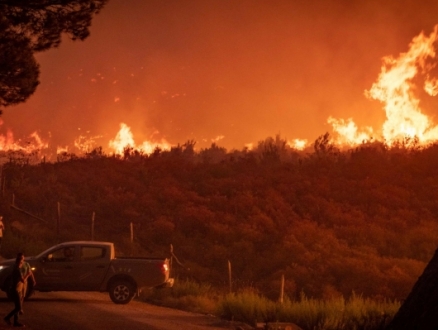 الجزائر: 25 قتيلا وجرحى جرّاء حرائق غابات واسعة