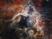  التلسكوب "جيمس ويب" يكشف صورا مذهلة لسديم الرتيلاء