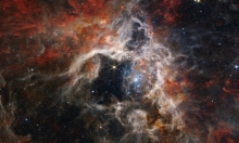  التلسكوب "جيمس ويب" يكشف صورا مذهلة لسديم الرتيلاء