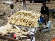 نيجيريا: مسلحون يخطفون 39 طفلا من مزرعة 