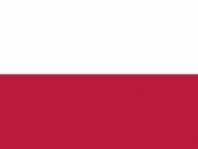 مونديال قطر: بطاقة منتخب بولندا