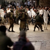 الاحتلال يعلن الخليل "منطقة عسكرية مغلقة" لمنع جولة منظمات حقوقية