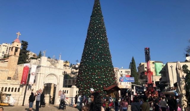 الناصرة تحتفل بنصب أكبر شجرة ميلاد في البلاد