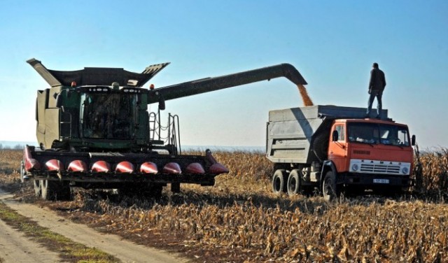 أوكرانيا: تراجع حصاد الحبوب بنحو 40% في 2022