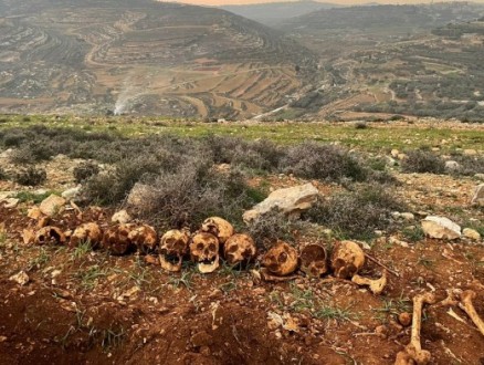 فريق أردنيّ لفحص الرفات في القدس: "يُعتقد أنها لجنود أردنيين"