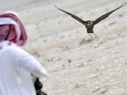 "مرمي 2023": مهرجان عالمي للصيد بالصقور في قطر