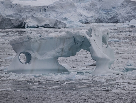الغطاء الجليدي  والفقمة التي أشارت إلى الكارثة المحتملة