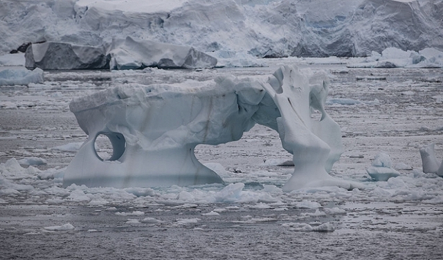 الغطاء الجليدي  والفقمة التي أشارت إلى الكارثة المحتملة
