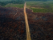 ثلث غابة الأمازون "دُمّر" بسبب الأنشطة البشرية والجفاف