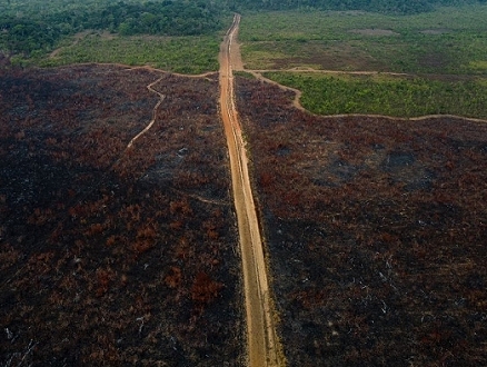 ثلث غابة الأمازون "دُمّر" بسبب الأنشطة البشرية والجفاف