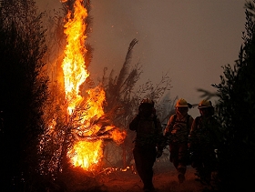 تشيلي: مصرع 23 شخصا ومئات الإصابات بحريق غابات