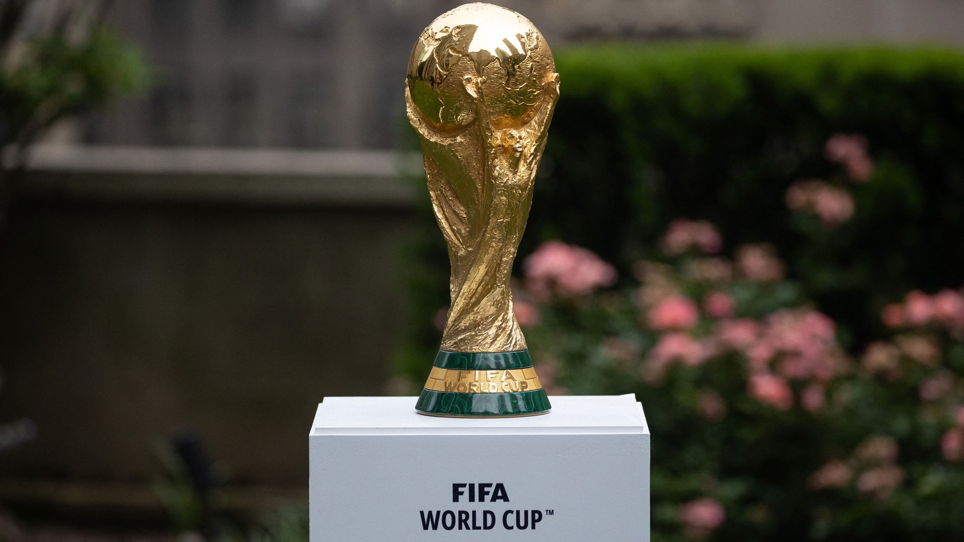 كأس العالم "World Cup"
