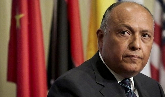 مصر تطالب بتعديل تشكيل مجلس السلم والأمن الإفريقيّ