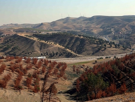 مبادرة عراقية لزراعة خمسة ملايين شجرة لمواجهة التصحّر والجفاف