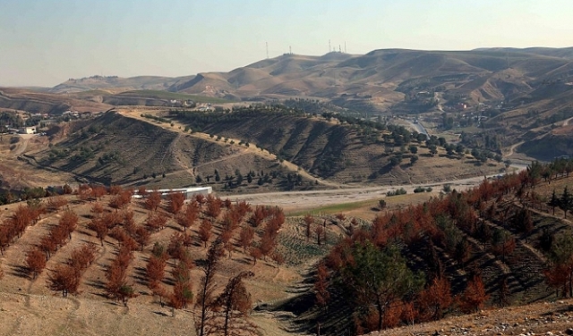 يخطط العراق لزراعة 5 ملايين شجرة لمكافحة التصحر والجفاف