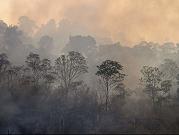 حرائق الغابات تلتهم عشرات المنازل في سيول