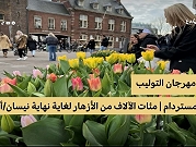 هولندا | الأزهار تضفي جمالاً أخاذًا على أحياء العاصمة