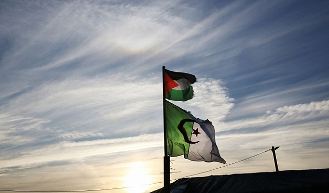 حوار مع أباهر السقا | المختلف والمشترك بين الاستعمار الاستيطاني بالجزائر وفلسطين