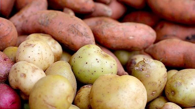 الفرق بين البطاطا الحلوة والبطاطا العادية من ناحية الطعم
