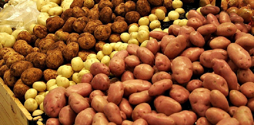 الفرق بين البطاطا الحلوة والبطاطا العادية من ناحية القيمة الغذائية