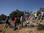 مستوطنون يحرقون حقولا زراعية قرب نابلس