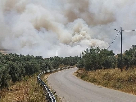 اعتداءات للمستوطنين على مركبات ومزارع للفلسطينيين قرب نابلس