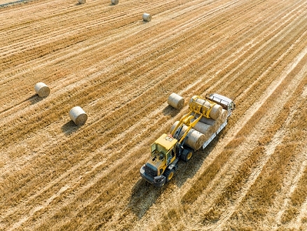 كيف تستخدم الدول محاصيل القمح لبسط هيمنتها إستراتيجيًّا؟