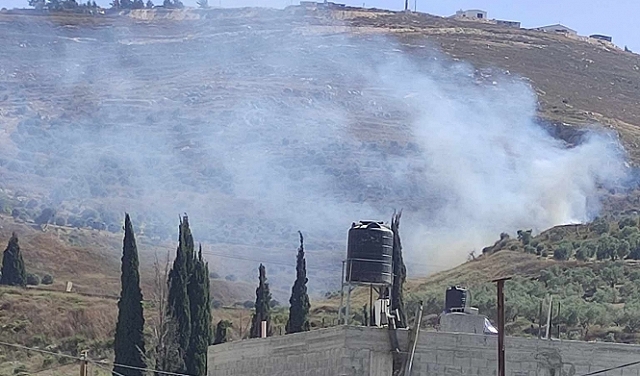 مستوطنون يحرقون عشرات أشجار الزيتون جنوب نابلس