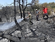 الجزائر: محاولة إخماد حرائق غابات في 7 ولايات والحرارة تصل إلى 48 درجة