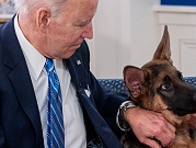 كلب بايدن يهاجم موظّفين في البيت الأبيض مجددًا