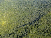 قمة لدول أميركيّة جنوبية في البرازيل لإنقاذ الأمازون