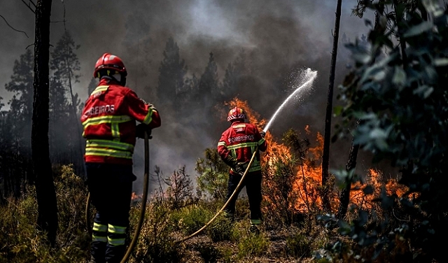 اتّساع حرائق الغابات في البرتغال وموجة حرّ تضرب إسبانيا